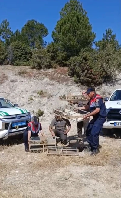 Kütahya’da yakalanan 142 saka kuşu doğaya salındı
