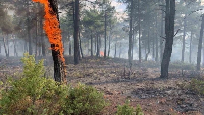 Kütahya’da yıldırım, orman yangınına neden oldu: 8 dekar alan zarar gördü
