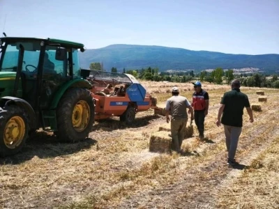K&uuml;tahya K&ouml;pr&uuml;&ouml;ren k&ouml;y&uuml;nde yem bezelyesi demonstrasyonunda hasat tamamlandı
