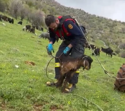 Kuyuya d&uuml;şen ke&ccedil;iyi itfaiye kurtardı
