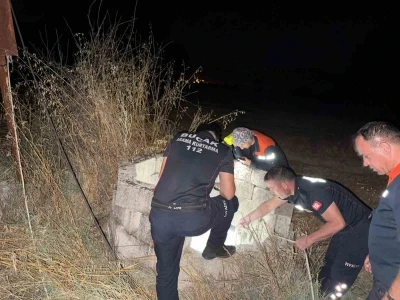 Kuyuya düşen kedi itfaiye tarafından kurtarıldı
