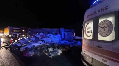 Kuzey Marmara Otoyolu&rsquo;nda  kamyonet devrildi: 2 yaralı
