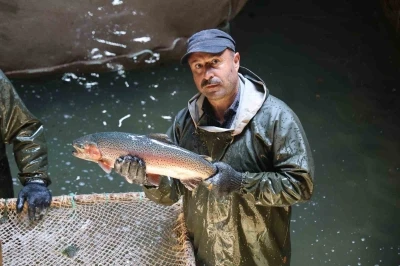 Laboratuvar değil alabalık üretim tesisi
