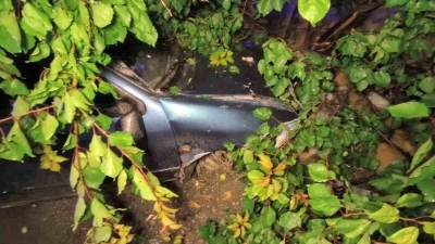 Lastiği kopan otomobil kaldırıma &ccedil;ıkarak bah&ccedil;e &ccedil;itlerine girdi

