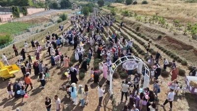 Lavanta kokuları eşliğinde hasat yaptılar
