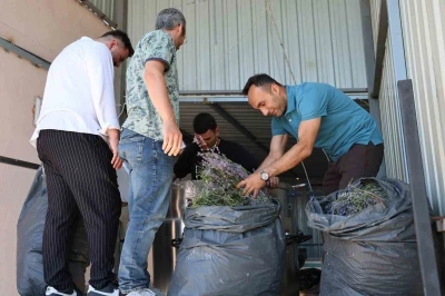 Lavanta &uuml;reten kadın kooperatifine katma değer desteği
