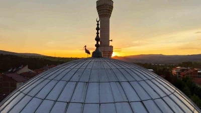 Leylekler g&uuml;n batımını cami kubbesinde karşıladı, mest eden anlar havadan g&ouml;r&uuml;nt&uuml;lendi
