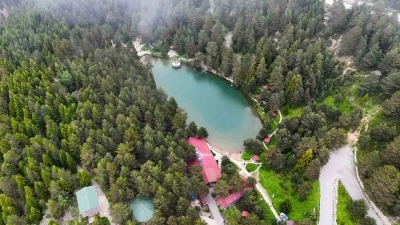 Limni G&ouml;l&uuml; Tabiat Parkı yaz ortasında ziyaret&ccedil;ilerini sis ve serin havayla karşılıyor
