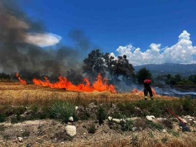 Limon bah&ccedil;esindeki ot yangını
