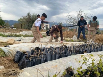 Liselilerden b&ouml;lge tarımına b&uuml;y&uuml;k katkı
