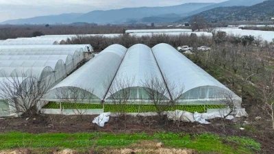 Lodostan zarar g&ouml;ren seralara B&uuml;y&uuml;kşehir desteği
