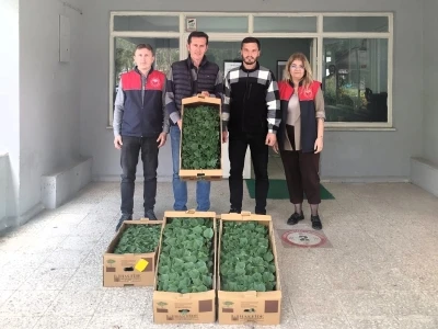 L&uuml;leburgaz&rsquo;da &ccedil;ift&ccedil;iye hıyar fidesi dağıtıldı
