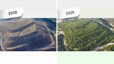 Maden sahaları rehabilitasyonla yeniden yeşeriyor
