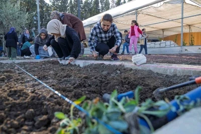 Mahalle bostanlarında kış dikimleri başladı
