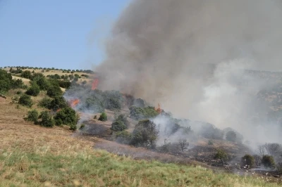 Mahalle ekipleri 28 yangını b&uuml;y&uuml;meden durdurdu
