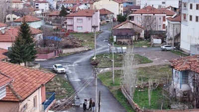 Mahallenin maskotu oldular, baharla birlikte yuvalarına d&ouml;nd&uuml;ler
