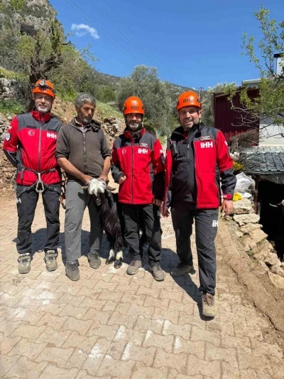 Mahsur kalan 2 ke&ccedil;i, 100 metrelik sarp araziden kurtarıldı
