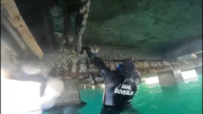 Mahsur kalan kedi i&ccedil;in sahil g&uuml;venlik seferber oldu
