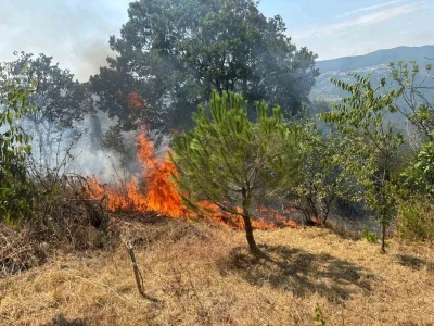 Makilik alanda çıkan yangın ekiplerin hızlı müdahalesiyle söndürüldü
