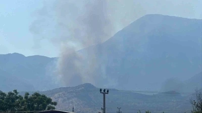 Makilik alanda çıkan yangın ormana sıçradı
