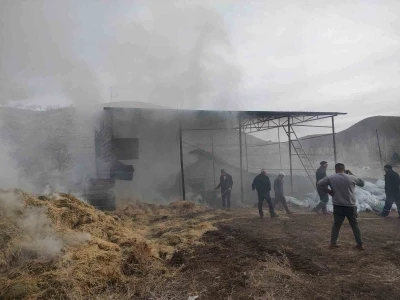 Malatya&rsquo;da besi &ccedil;iftliğinde yangın

