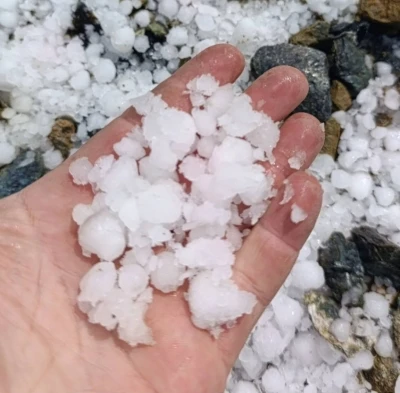 Malatya&rsquo;da dolu kayısı bah&ccedil;elerine zarar verdi
