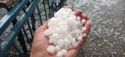 Malatya&rsquo;da dolu kayısı bah&ccedil;elerine zarar verdi
