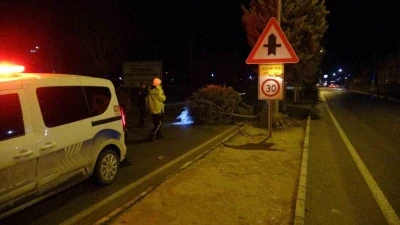 Malatya&rsquo;da fırtına ağa&ccedil;ları k&ouml;k&uuml;nden s&ouml;kt&uuml;
