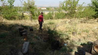 Malatya’da kayısı bahçesinde obruk oluştu
