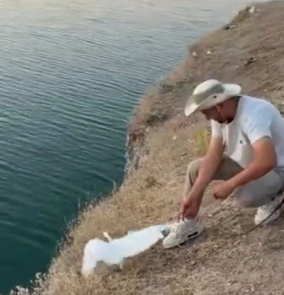 Malatya&rsquo;da oltaya balık yerine martı takıldı
