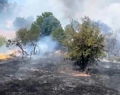 Malatya’da orman yangını

