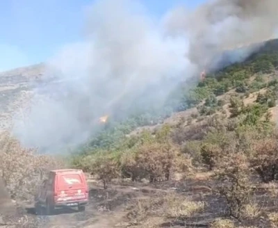 Malatya’daki orman yangını söndürüldü
