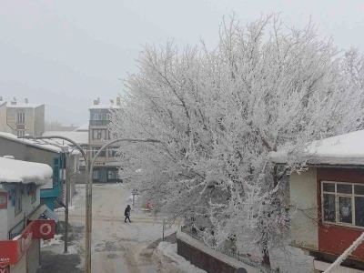Malazgirt&rsquo;te dondurucu soğuklar g&ouml;rsel ş&ouml;lene d&ouml;n&uuml;şt&uuml;

