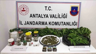 Manavgat&rsquo;ta 2 kilo kubar esrar ve 130 k&ouml;k kenevir ele ge&ccedil;irildi
