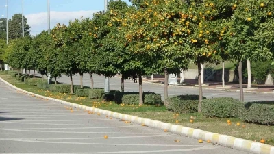 Manavgat&rsquo;ta fırtına ve yağmur turun&ccedil;ları yollara d&ouml;kt&uuml;
