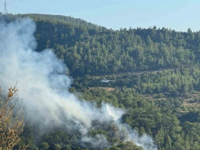 Manavgat’ta ormanlık alanda yangın
