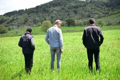 Manisa B&uuml;y&uuml;kşehir&rsquo;in toprakla buluşan tohumları yeşerdi
