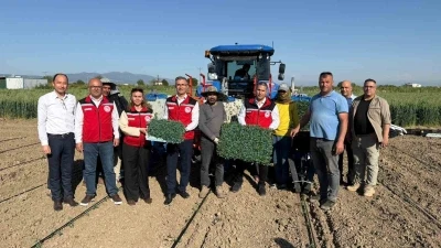 Manisa&rsquo;da 131 bin dekarlık alanda domates mesaisi
