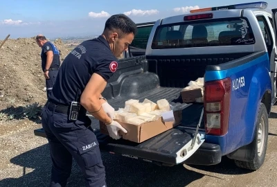 Manisa’da 49 kilo bozuk peynir imha edildi
