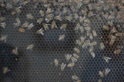 Manisa&rsquo;da kırsal kalkınmaya 144 milyon TL&rsquo;lik dev yatırım
