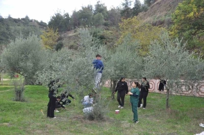 Manisa&rsquo;da "Zeytin 5.0 Projesiyle" &ccedil;ocuklar hem &ouml;ğrendi hem &uuml;retti
