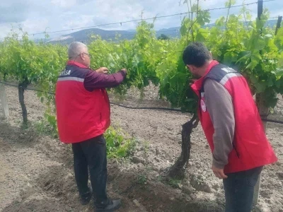 Manisa&rsquo;da tarım denetimleri hız kesmiyor
