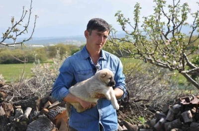 Manisalı sağlık&ccedil;ı gen&ccedil; kangal yetiştiricisi oldu
