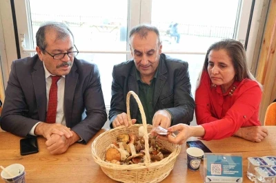 Mantarların gizemli dünyası anlatıldı
