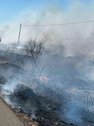 Manyas Kuş Cenneti yakınında yangın paniği
