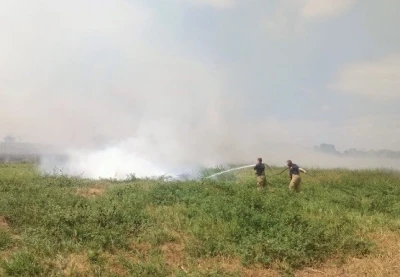 Manyas ve Bandırma arasında sazlık alanda yangın çıktı
