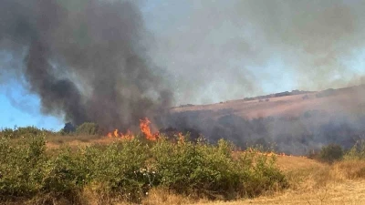 Manyas Yeniköy’de çıkan yangına ekiplerden ortak müdahale
