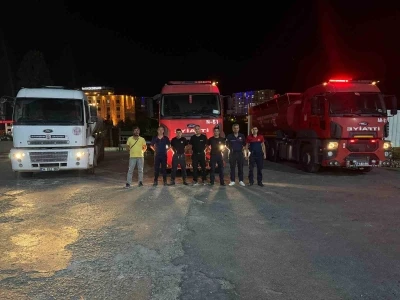 Mardin Büyükşehir Belediyesi’nden Lice’deki örtü yangını söndürme çalışmalarına destek
