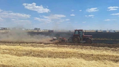 Mardin&rsquo;de 80 d&ouml;n&uuml;m buğday ekili alan k&uuml;le d&ouml;nd&uuml;
