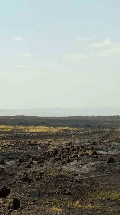Mardin&rsquo;de &ccedil;ıkan anız yangını s&ouml;nd&uuml;r&uuml;ld&uuml;
